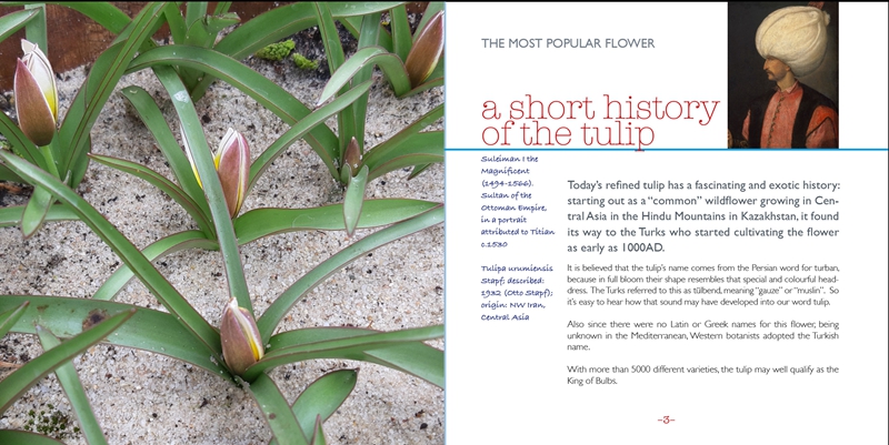 tulipbook01.jpg